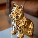 Golden Dog Prague